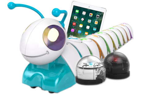 キップロの写真